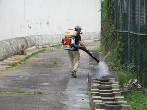 水溝消毒作業