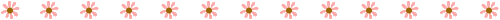 閃粉花